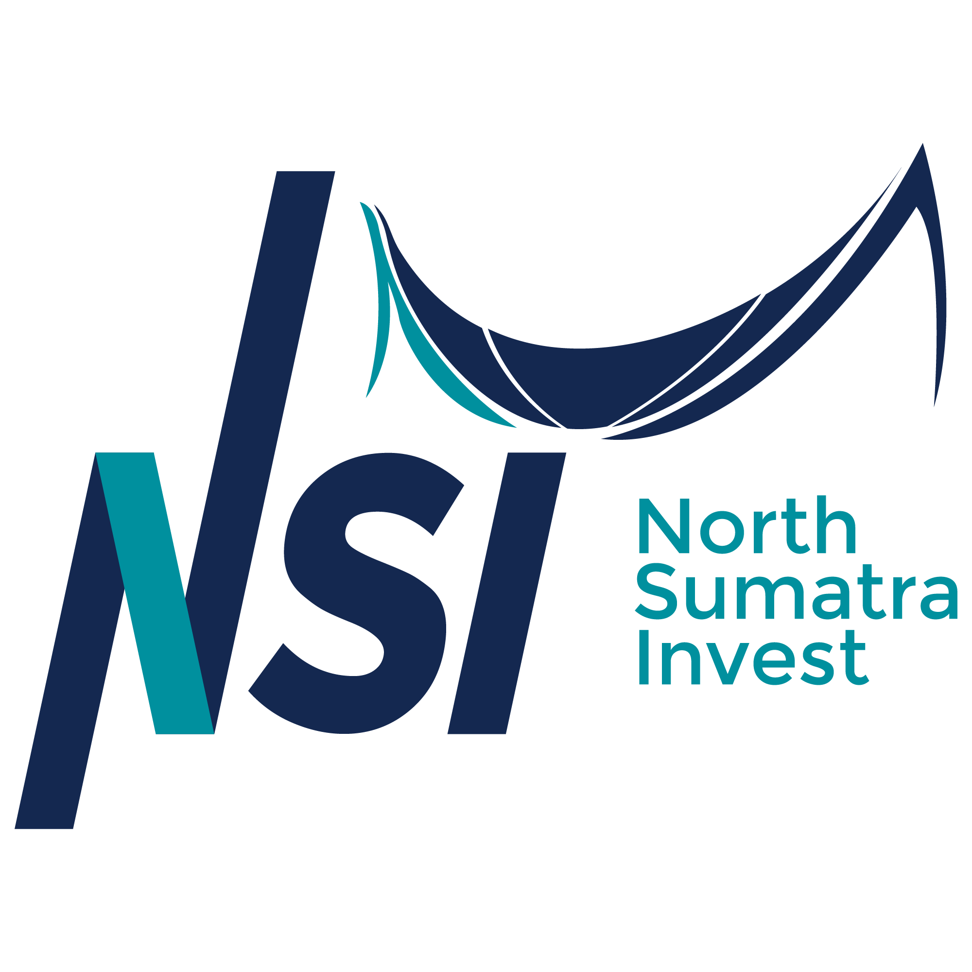 NSI Logo